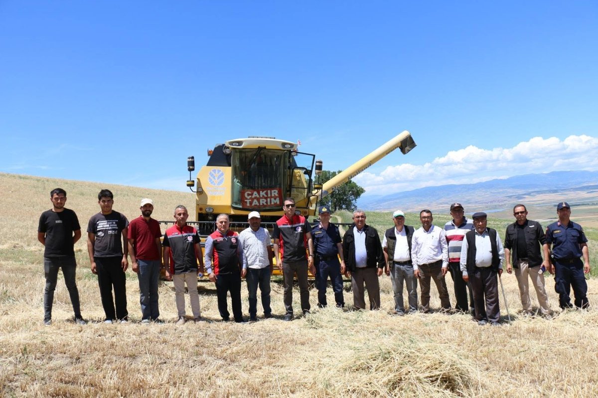 Uğurludağ'da Yılın İlk Arpa Hasadı Gerçekleştirildi