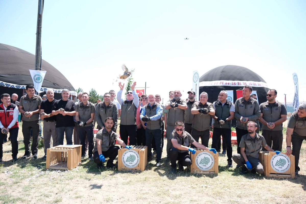 Çorum'da Keneyle Biyolojik Mücadele: Doğaya 500 Kınalı Keklik Salındı