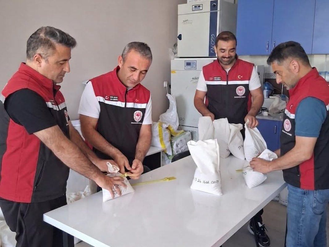 Çorum'da Sertifikalı Tohumluk Üretiminde Kalite Denetimi