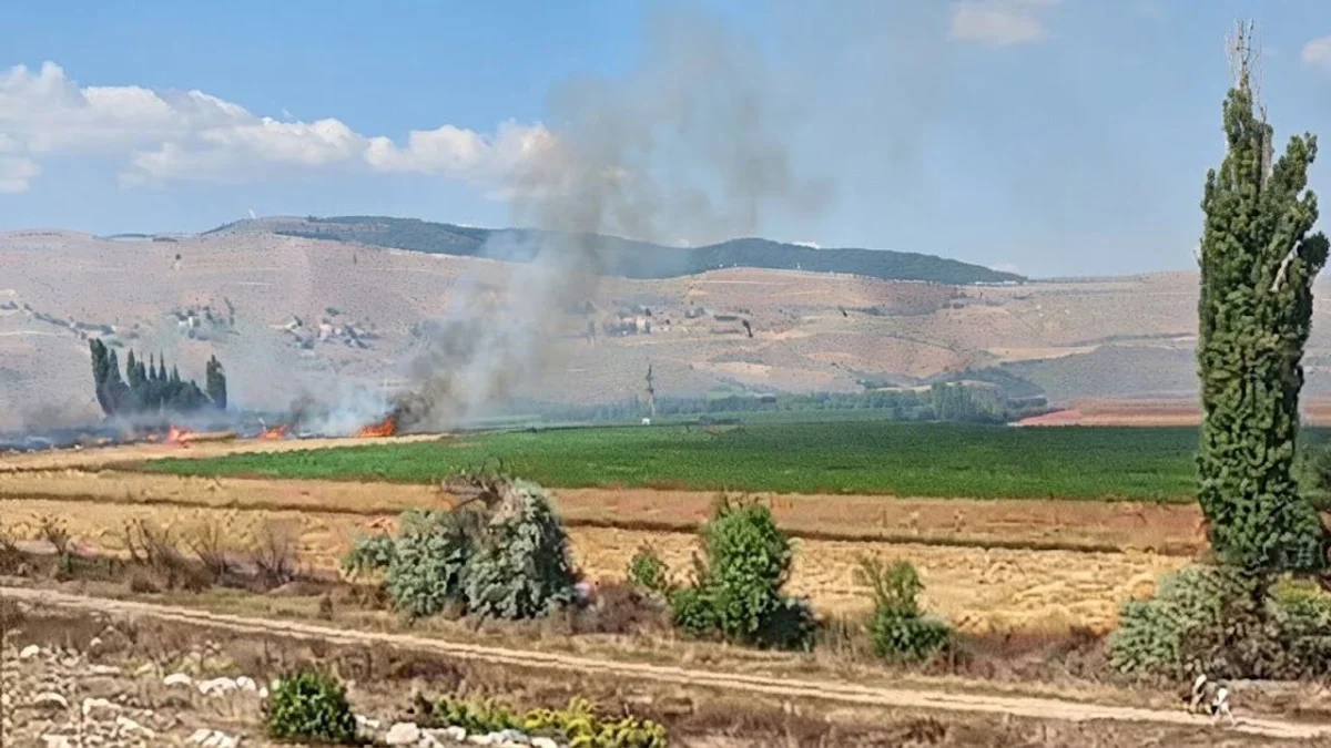 Mecitözü'nde Korkutan Yangın: 2 Bin Dönüm Arazi Kül Oldu