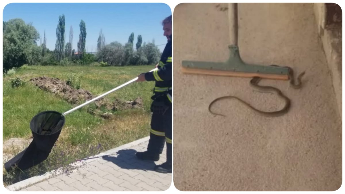 Alaca'da Korkutan Ziyaretçi: Eve Giren Yılanı İtfaiye Yakaladı