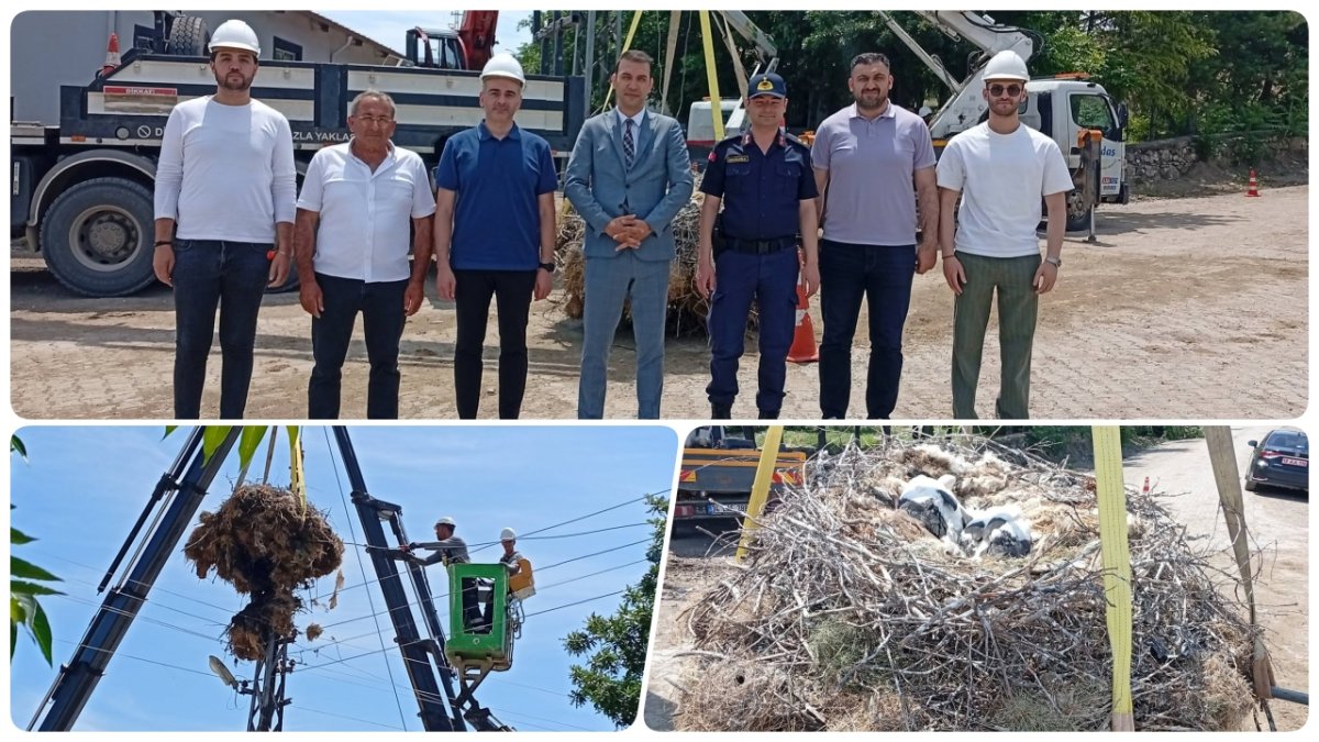Uğurludağ'da Doğa Dostu Çalışma: Leylek Yuvaları Güvence Altına Alındı