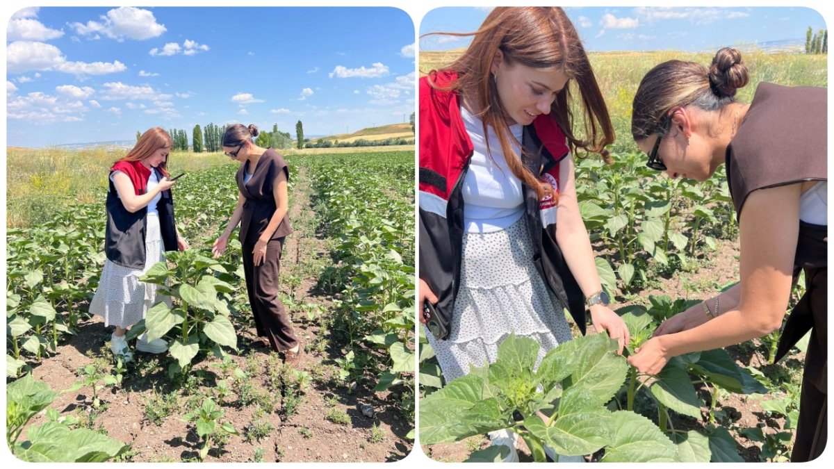 Tarımsal Üretim İçin Saha Çalışmaları Ve Arazi Kontrolleri Sürüyor