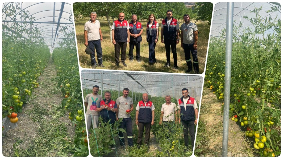 Mecitözü'nde Sera Üreticilerine Yakın Markaj: Örtü Altı Denetimleri Sürüyor