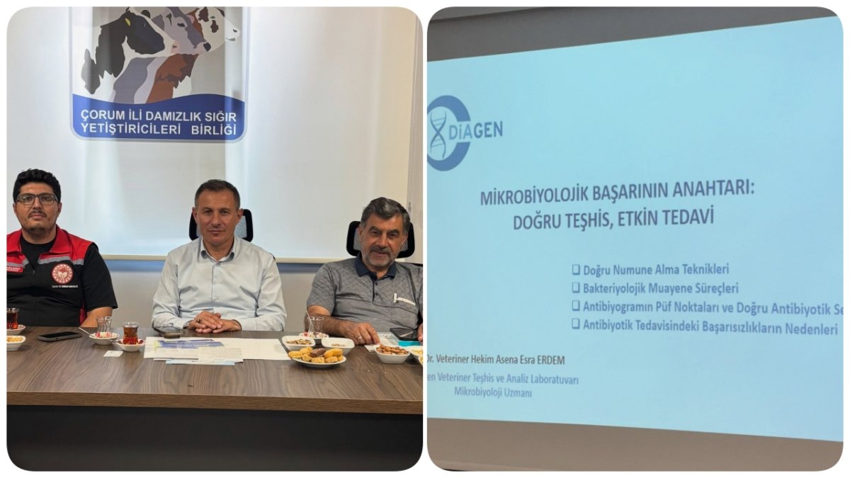 Veteriner Hekimlere Yönelik Kapsamlı Hijyen Ve Sağlık Semineri Düzenlendi