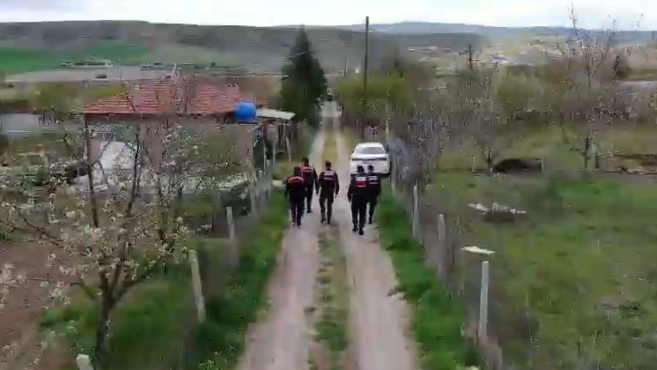 Çorum Jandarması Düğmeye Bastı: 220 Şüpheli Yakalandı