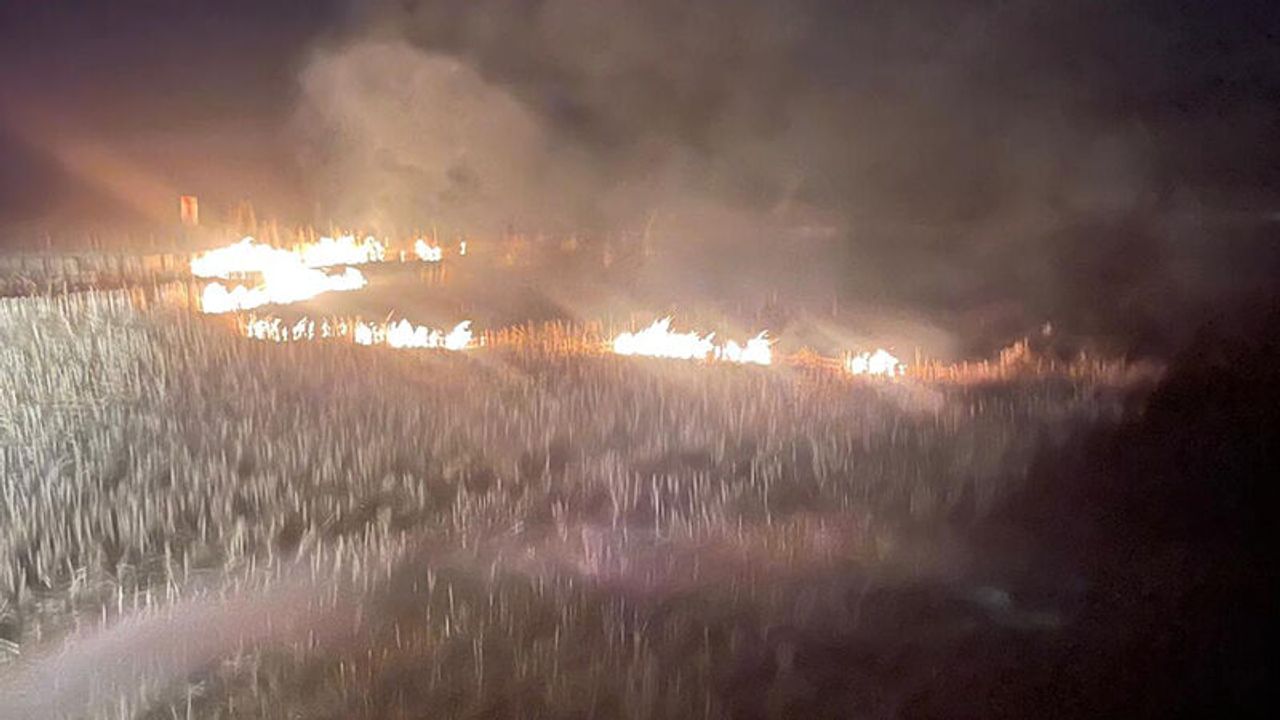 İskilip Yerliköy’de Arazi Yangını