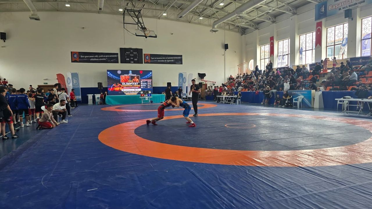 Olimpiyat Şampiyonları Mahmut Atalay ve Tevfik Kış Anısına Güreş Coşkusu