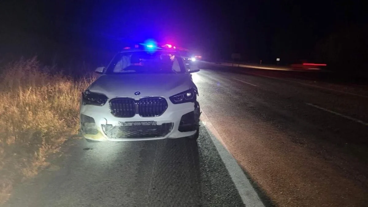 Yola Fırlayan Domuzlara Çarpan Otomobilde 4 Kişi Yaralandı