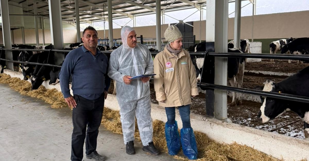 Laçin’de Sağlıklı Hayvancılık Seferberliği