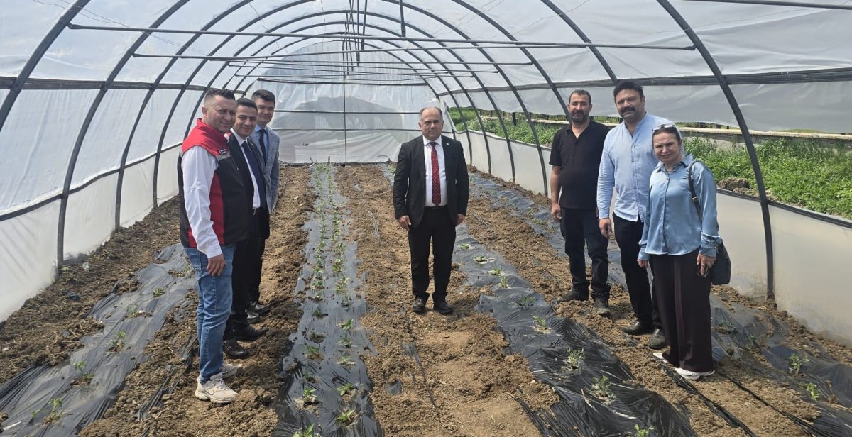 Çorum'da Engelsiz Tarım İçin Serada Malçlı Sebze Dikimi