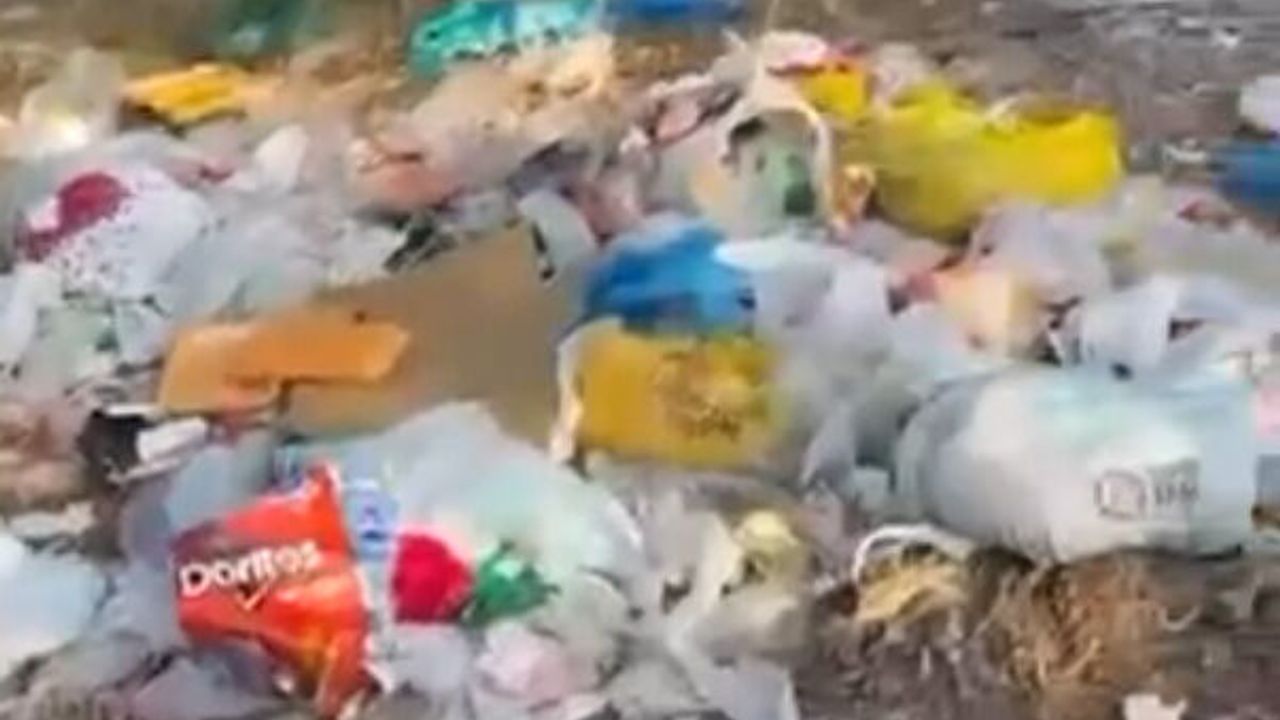 “Aslan yattığı yerden belli olur” deyip pisletip gittiler