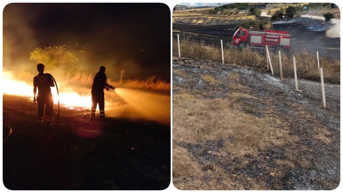 Çorum İtfaiyesi Yaz Boyunca 225 Ot ve Anız Yangınına Müdahale Etti