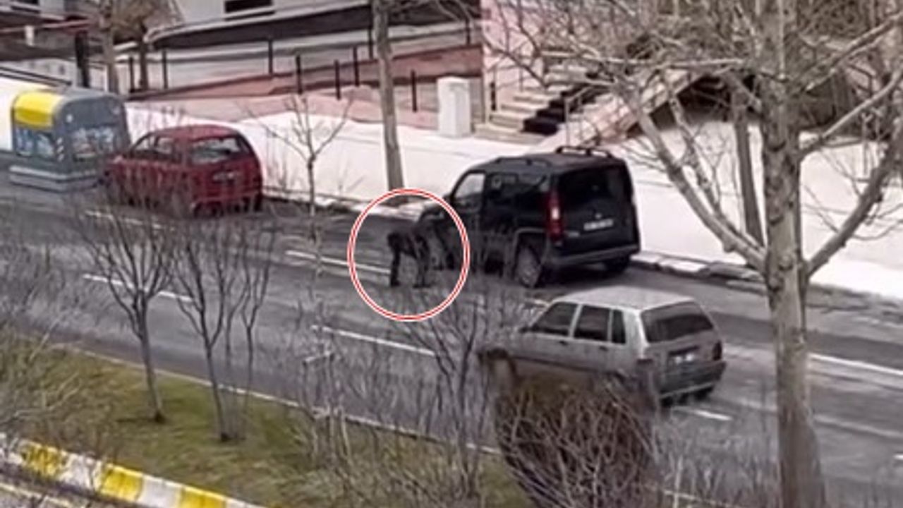 Çorumlunun Yaptığını Herkes Yapamaz! Bu Amcayı Ödüllendirin!
