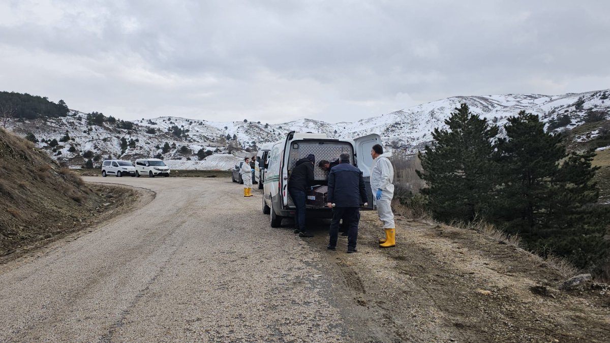 Çorum’da Parçalanmış Cesedin Kafa Kısmı Ormanlık Alanda Ortaya Çıktı
