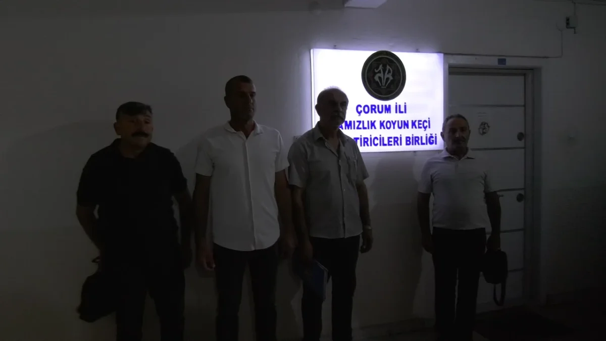 Birlikte Görevden Alma Krizi! Şanal: “Yüce Türk Adaletine Güveniyorum”