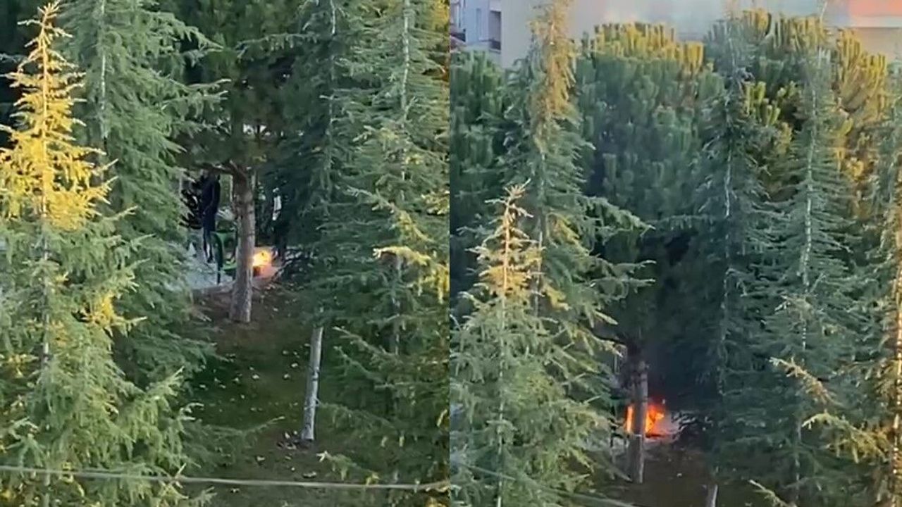 Gençlerin Parkta Sürekli Yaktığı Ateş Mahalleliyi Canından Bezdirdi