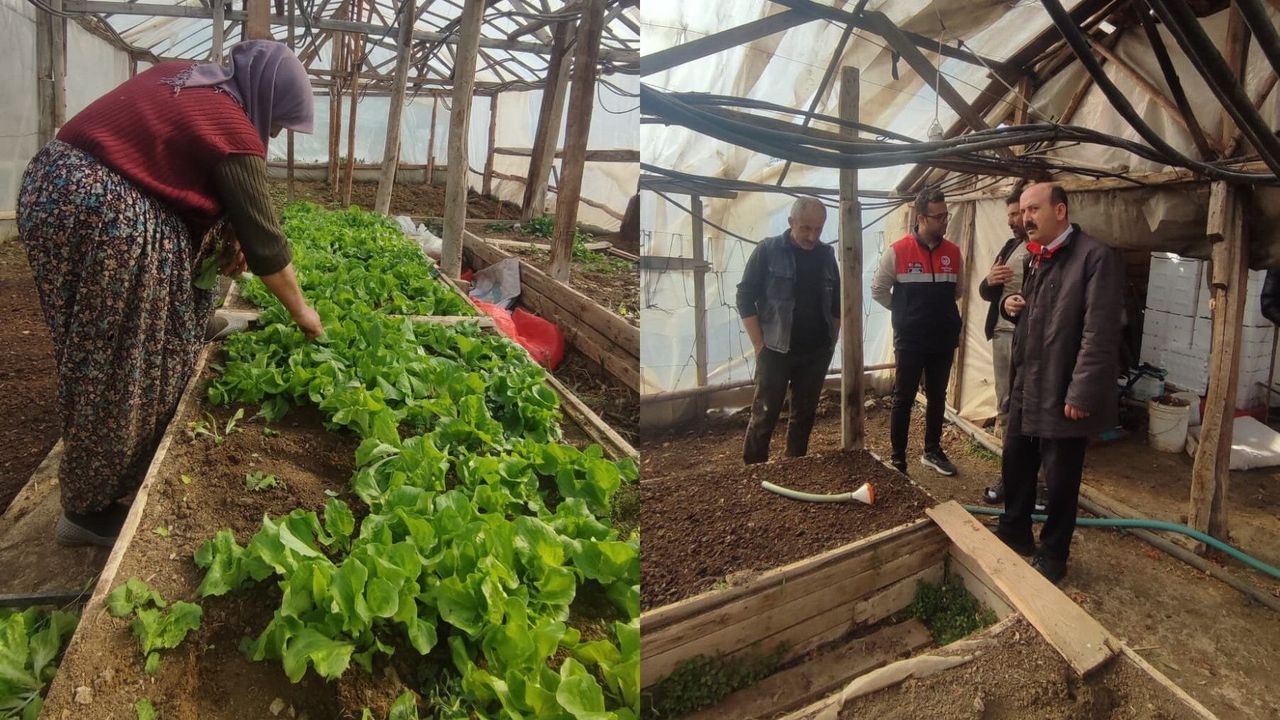 Osmancık’a Müjde! Sera Projesi Hayata Geçiyor