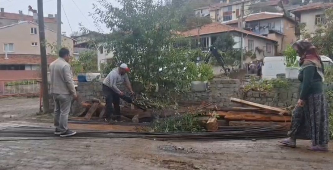 BAYAT'TA KALDIRIM İÇİN AĞAÇ KESİMİNE TEPKİ: GÖZLER BELEDİYEDE