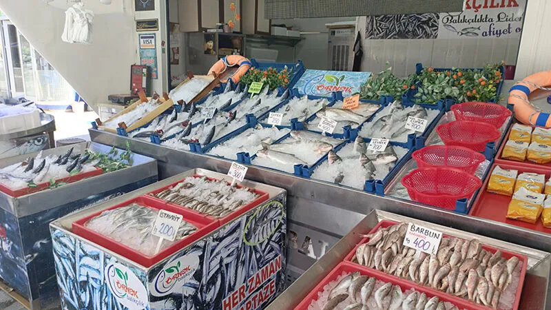 KARADENİZ'DE PALAMUT BEREKETİ ÇORUM TEZGÂHLARINI SALLADI